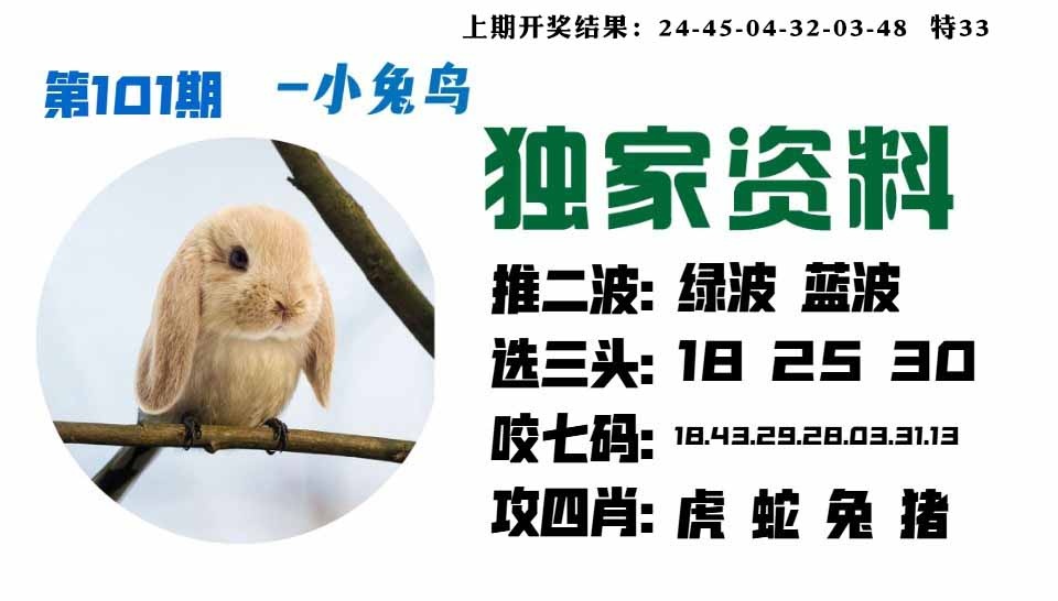 101期小兔鸟[图]